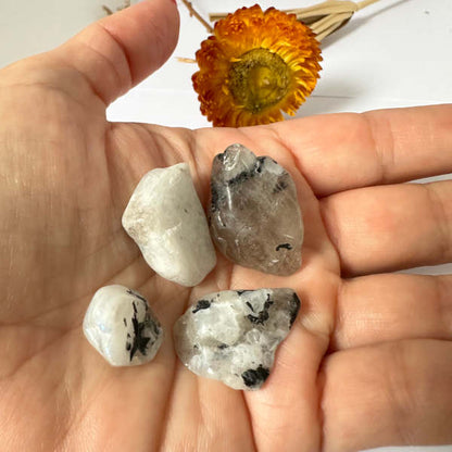 Pedra da Lua (natural)