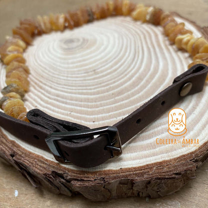 Coleira Premium Para Animal em Ambar Mel 30-35CM