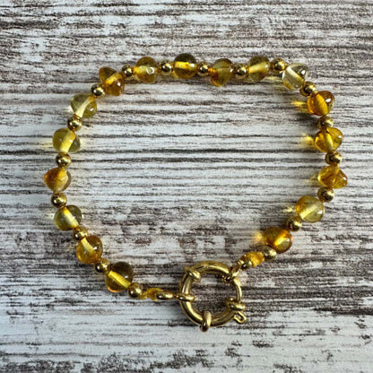 Colar e Pulseira de Âmbar Mel com Fecho em Aço