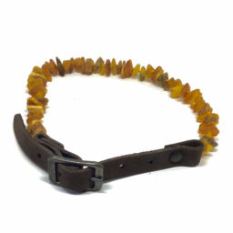 Coleira Premium Para Animal em Ambar Mel 30-35CM