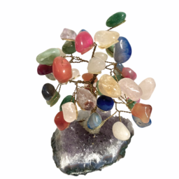 Bonsai em Pedras Naturais