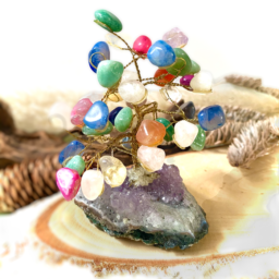 Bonsai em Pedras Naturais