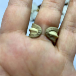 Anel Cabedal e Âmbar