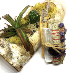 Rituais de Boas Energias, Limpeza e Proteção (Salvia e Pau de Santo)